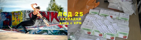 шишки Абаза