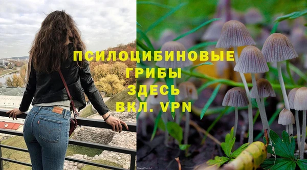 трава Абдулино
