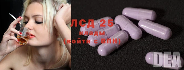 шишки Абаза