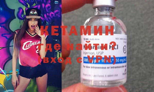 шишки Абаза