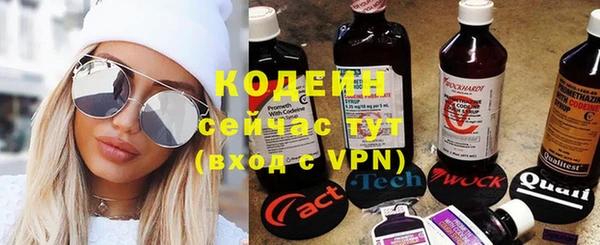 шишки Абаза