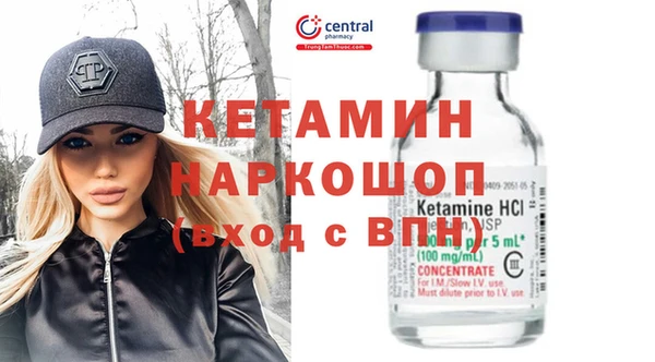 шишки Абаза