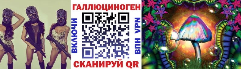 купить закладку  Лакинск  мега вход  сайты даркнета состав  Галлюциногенные грибы Psilocybine cubensis 